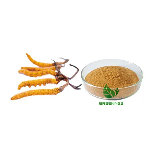 Cordyceps гъбен прах